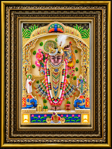 Shree-Nath  ji live Swaroop
