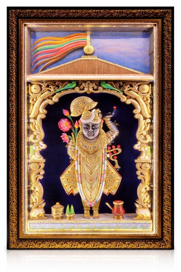 Shree-Nath ji Live Charan with Dhwaja