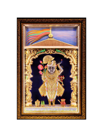 Shree-Nath ji Live Charan with Dhwaja